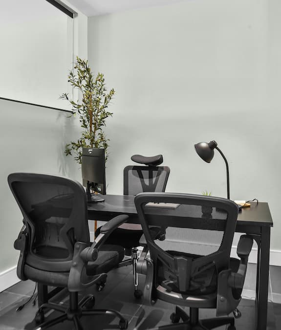 Personal office with a black desk, two ergonomic chairs, a monitor, desk lamp and a small olive tree